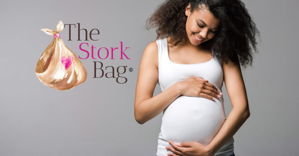 The Stork Bag - pregnancy gift