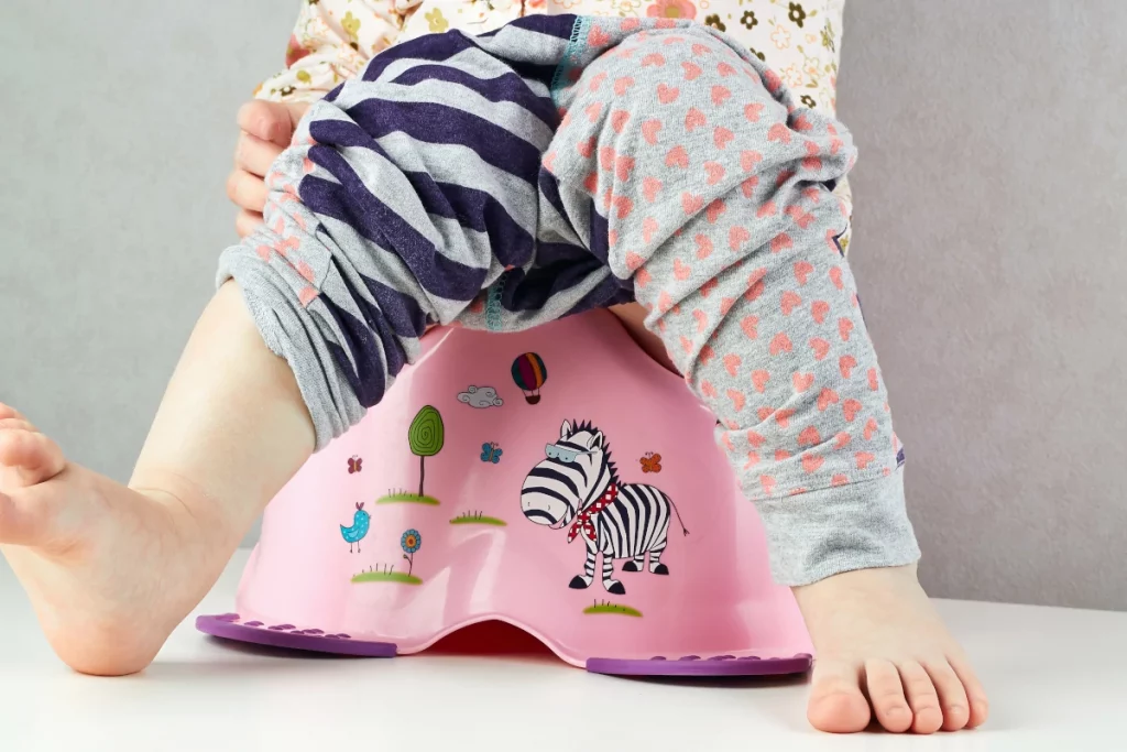 The Stork Bag - Potty Training Tips