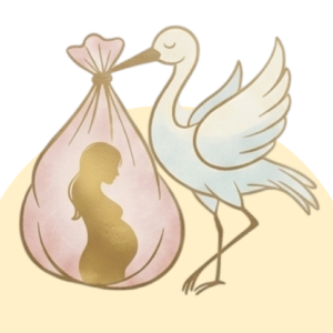 Pregnancy Gift Boxes